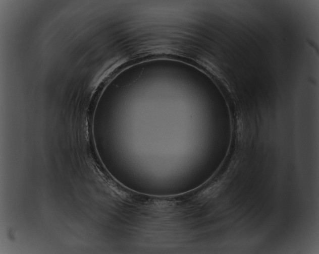 X0000101450782200807141243