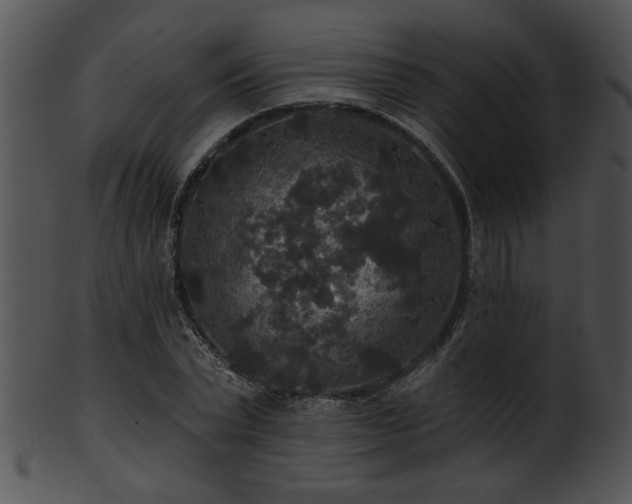 X0000101450783200807141243