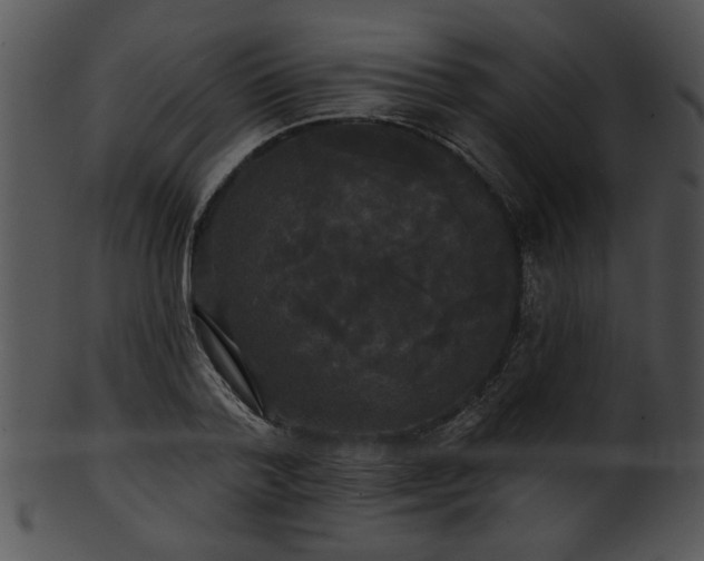 X0000101450788200807141243