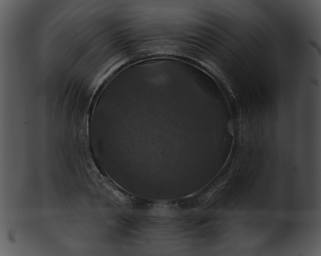 X0000101450790200807141243