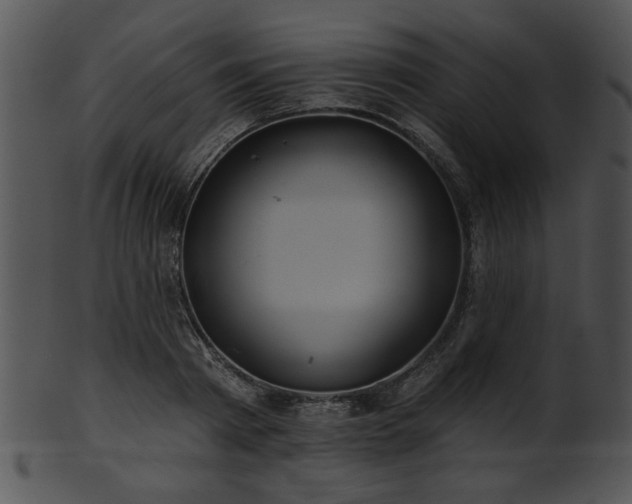 X0000101450793200807141243