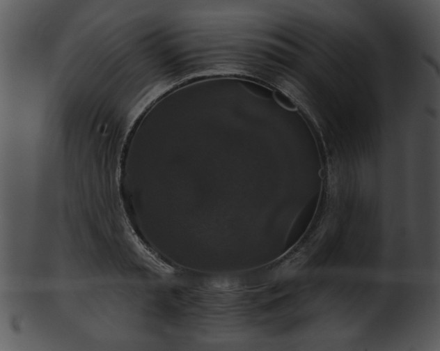 X0000101450797200807141243