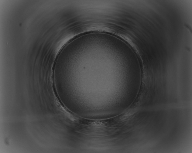 X0000101450799200807141243