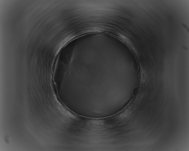 X0000101450802200807141243