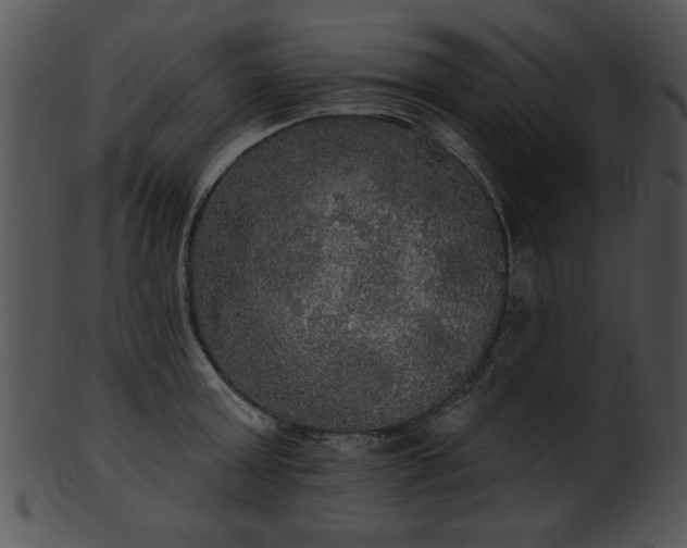 X0000101450803200807141243