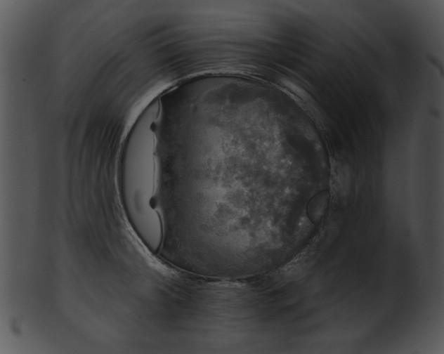 X0000101450804200807141243