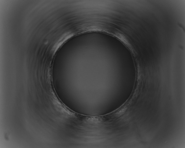 X0000101450806200807141243