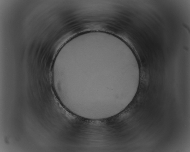 X0000101450807200807141243