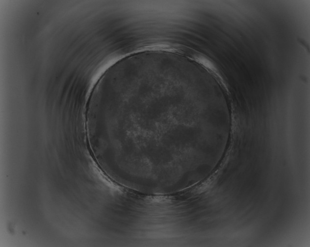 X0000101450808200807141243