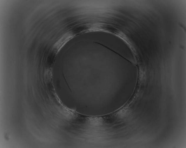 X0000101450809200807141243