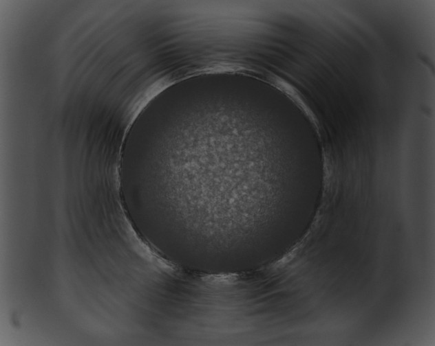 X0000101450810200807141242