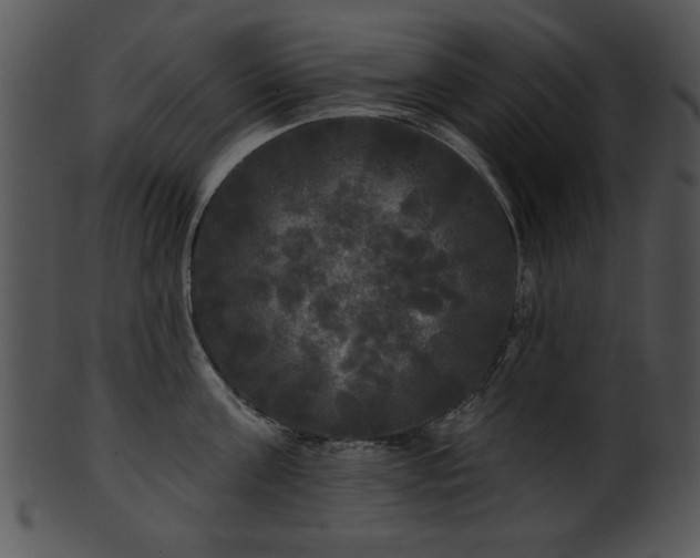 X0000101450811200807141242