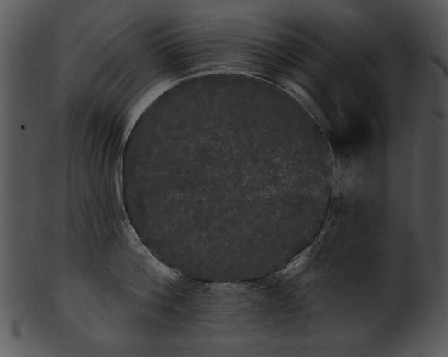 X0000101450812200807141242