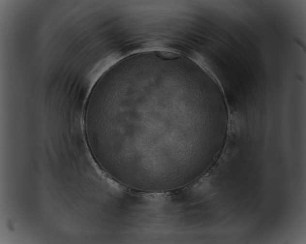 X0000101450813200807141242