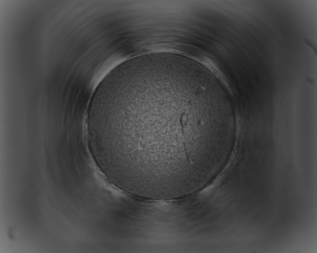 X0000101450814200807141242