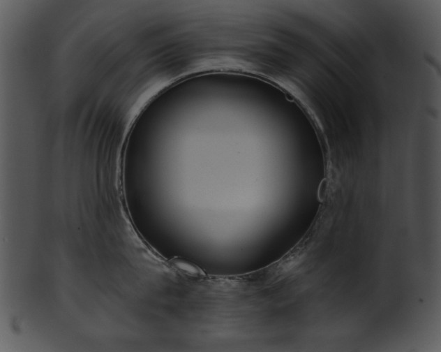 X0000101450815200807141242