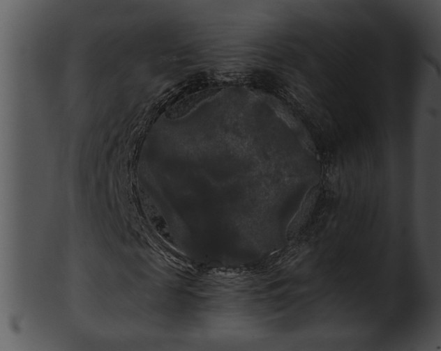 X0000101450817200807141242