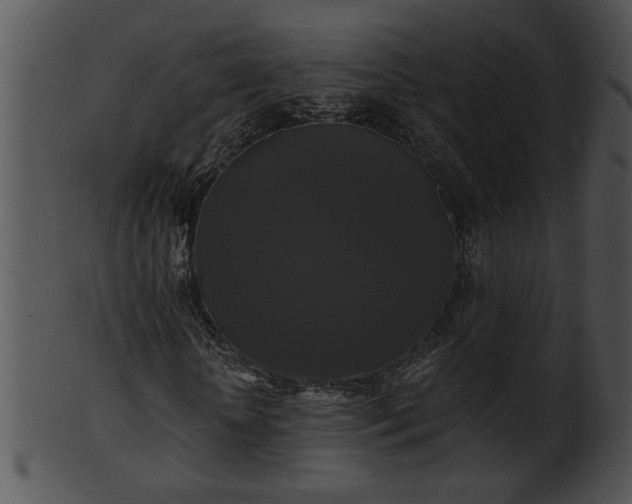 X0000101450818200807141242