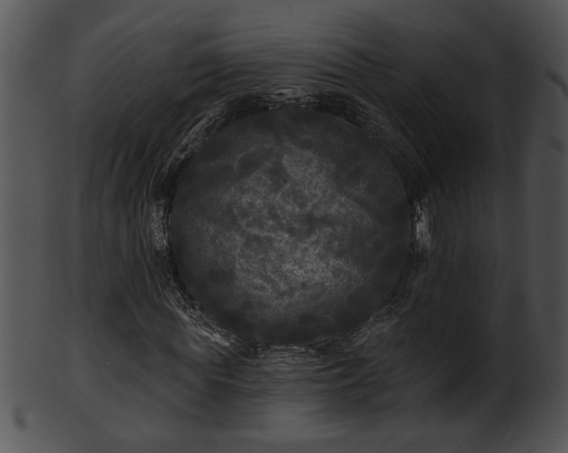 X0000101450819200807141242