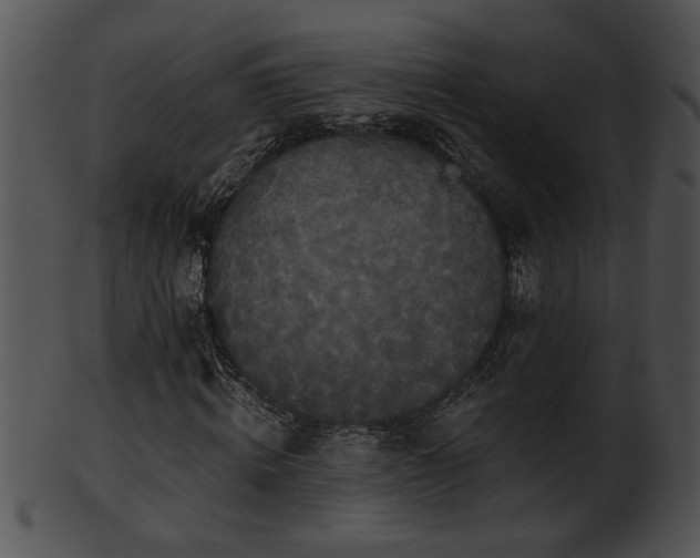 X0000101450820200807141242