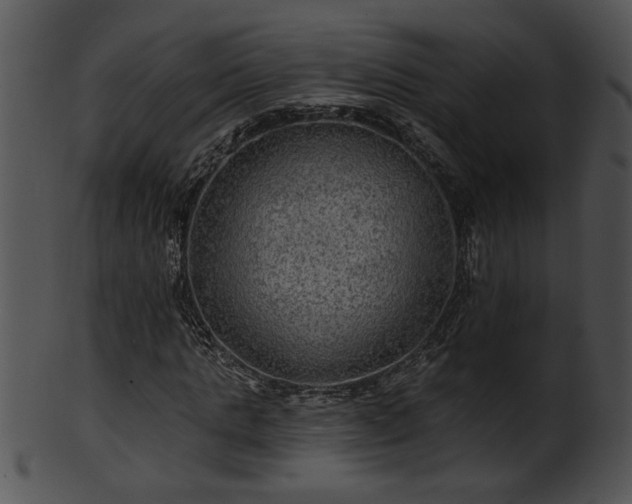 X0000101450821200807141242