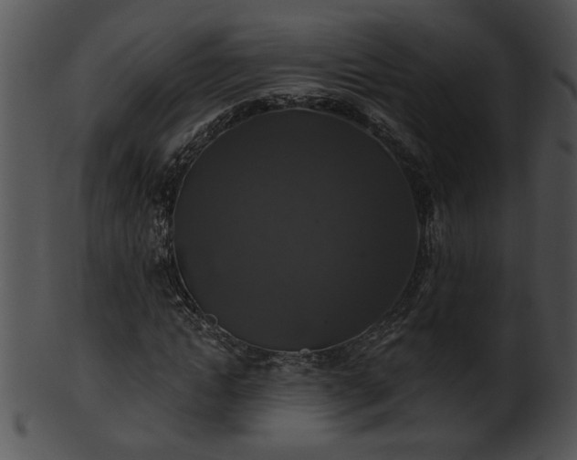 X0000101450822200807141242