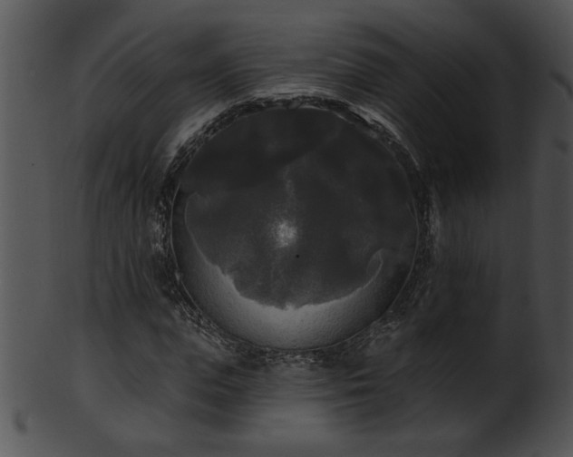 X0000101450823200807141242