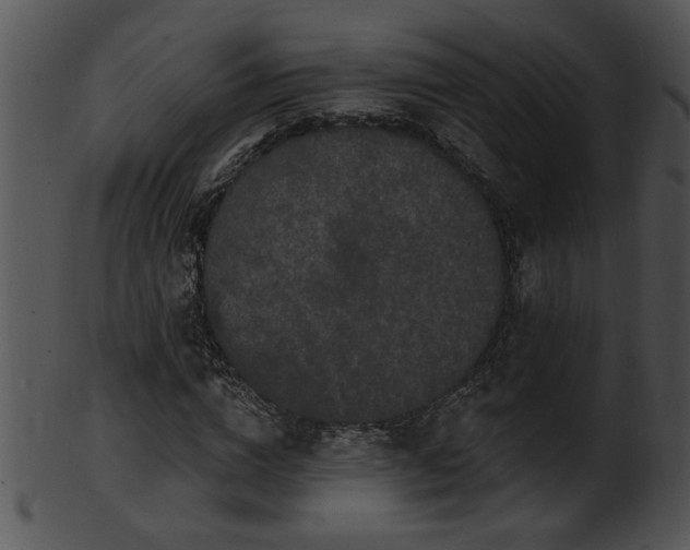 X0000101450824200807141242