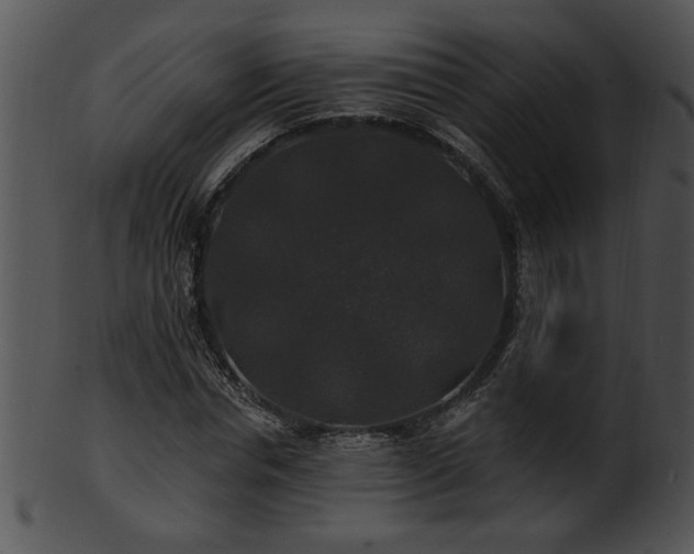 X0000101450826200807141242