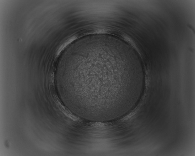 X0000101450827200807141242