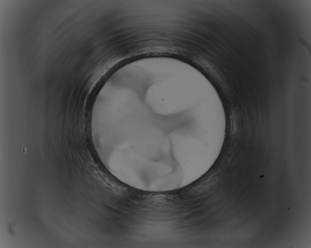 X0000101450828200807141242