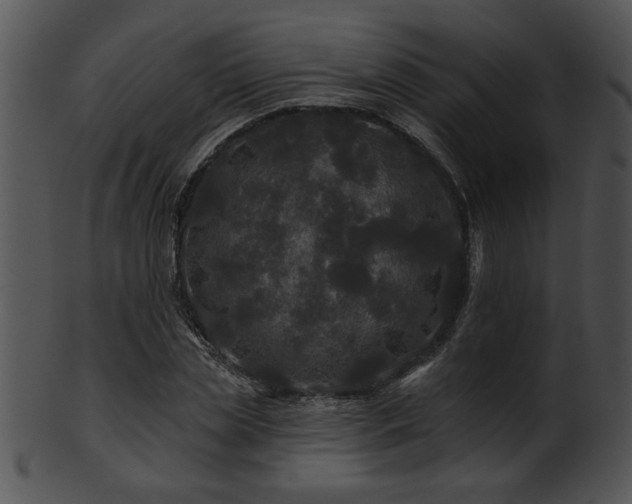 X0000101450829200807141242