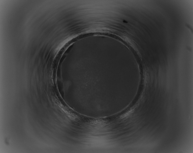 X0000101450830200807141242