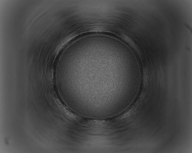 X0000101450831200807141242