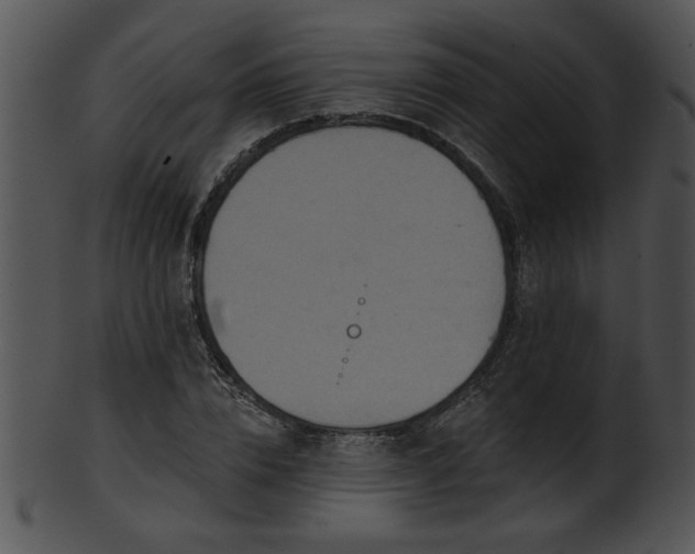 X0000101450832200807141242