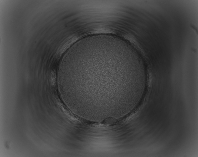 X0000101450833200807141242