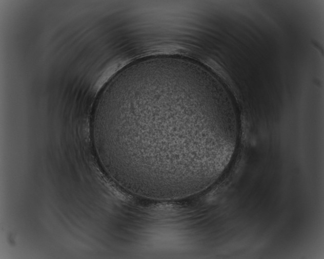 X0000101450834200807141242