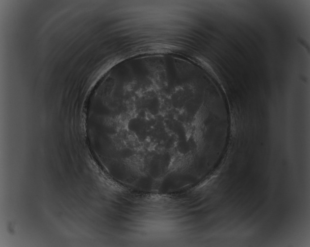 X0000101450835200807141242