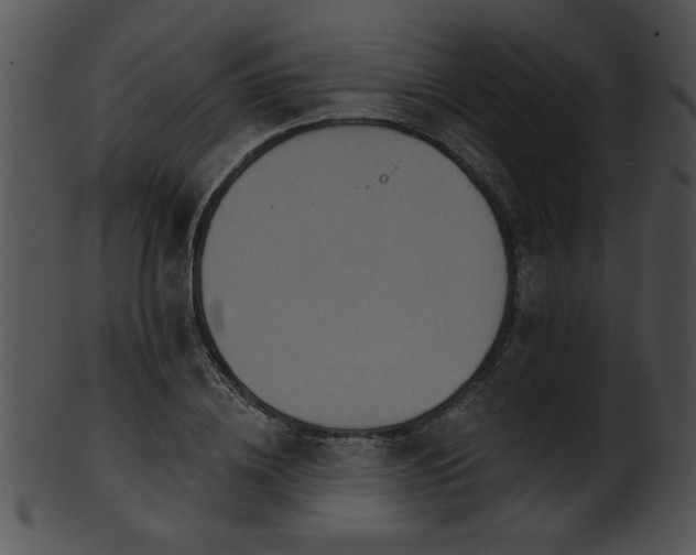 X0000101450836200807141242