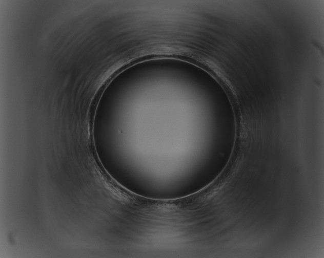 X0000101450837200807141242