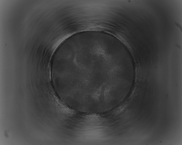 X0000101450838200807141242