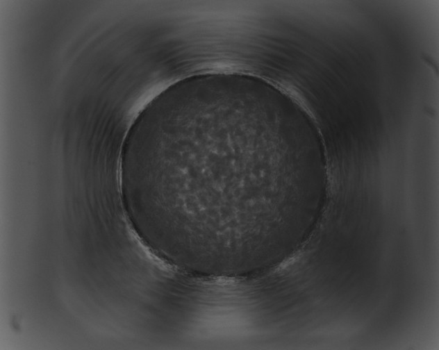 X0000101450839200807141242