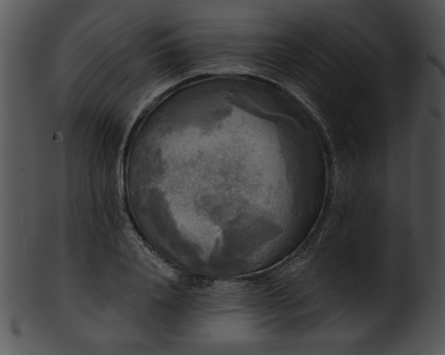 X0000101450840200807141242