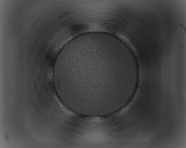 X0000101450841200807141242