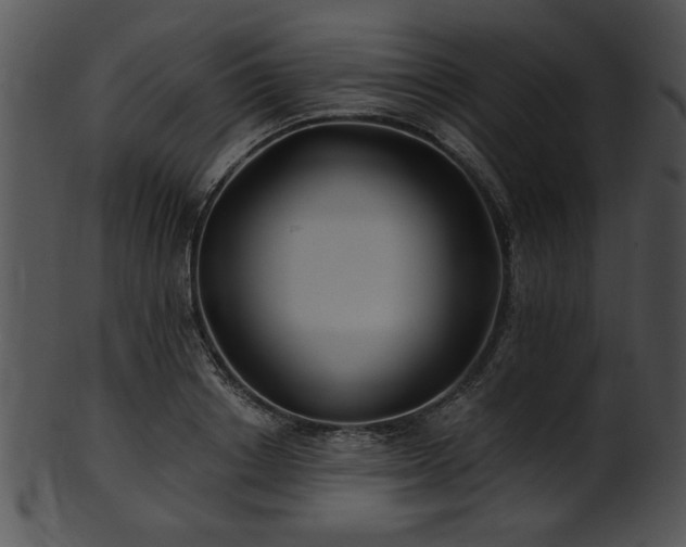 X0000101450842200807141242