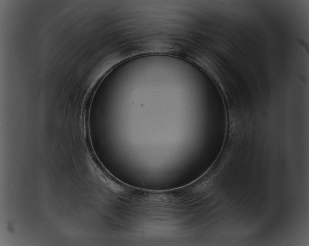 X0000101450843200807141242