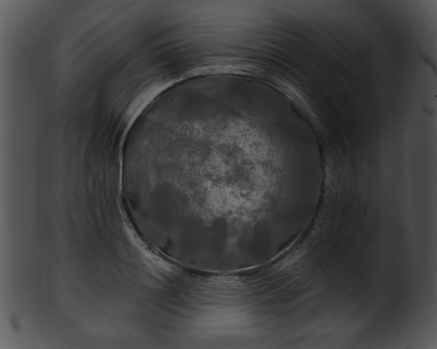 X0000101450844200807141242