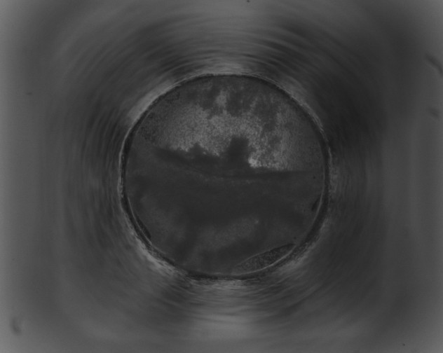 X0000101450845200807141242