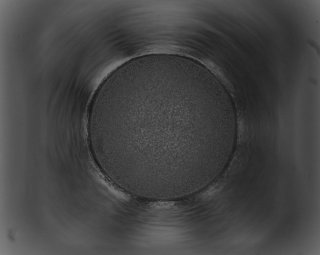 X0000101450846200807141242