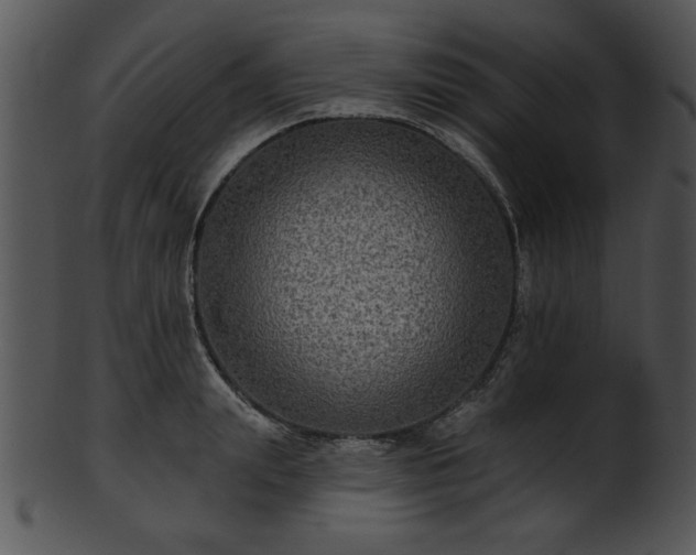 X0000101450847200807141242